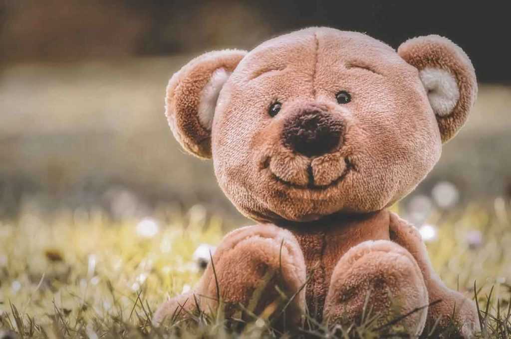 Teddybären Spielzeug Teddy Bear