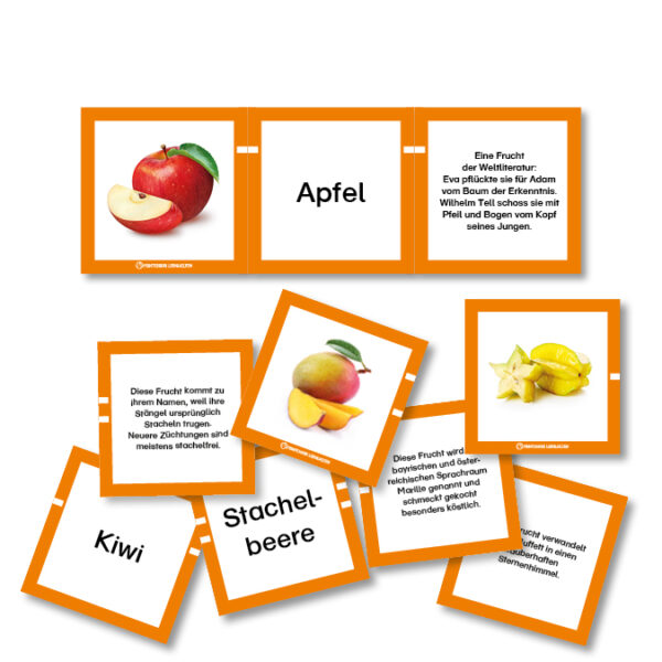 Legematerial Obst und Gemüse – Bild 2