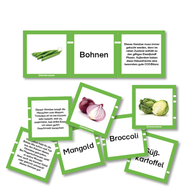 Legematerial Obst und Gemüse – Bild 3