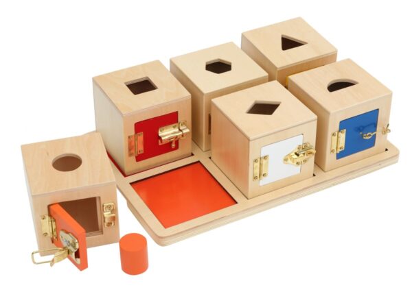 Tablett mit 6 Löcher-Boxen