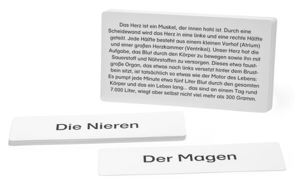 Legematerial für den Lernteppich Körper und Organe