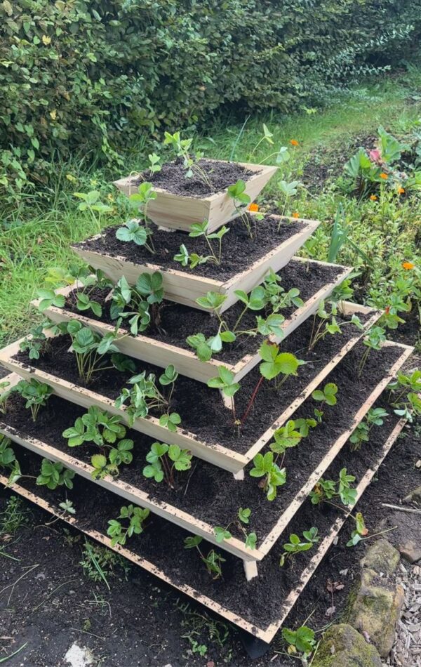 Große Pflanzpyramide aus Holz - ideal als Erdbeerpyramide, Kräuterpyramide oder Blumenpyramide – Bild 8