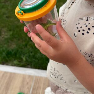 Lupenbecher - Insekten tierfreundlich beobachten