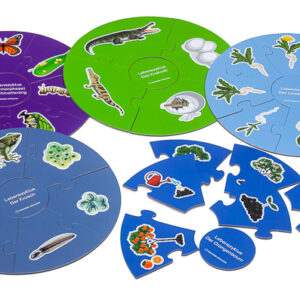 Lebenszyklen - 5 Puzzles über den Kreislauf in der Natur