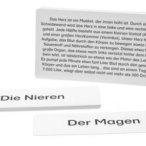 Legematerial für den Lernteppich Körper und Organe