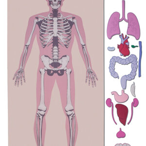 Lernteppich Körperteile mit Skelett