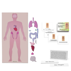 Sparset - Lernteppich Körperteile und Organe des Menschen mit Arbeitskartei