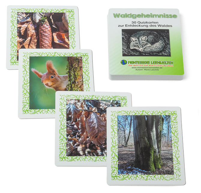 Waldgeheimnisse - 30 Quizkarten 1 Waldgeheimnisse - 30 Quizkarten