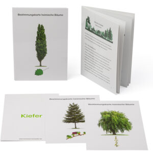 Bestimmungskarten - Heimische Bäume
