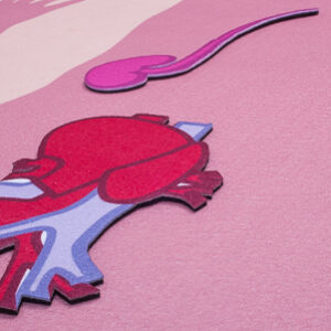 Organe für die Lernteppiche