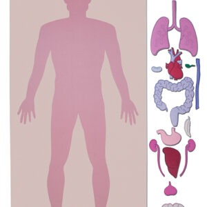 Lernteppich Körperteile