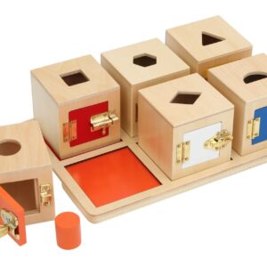 Tablett mit 6 Löcher-Boxen