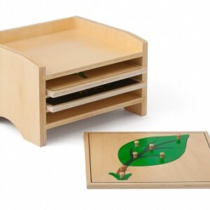 Kasten mit Botanischen Puzzles