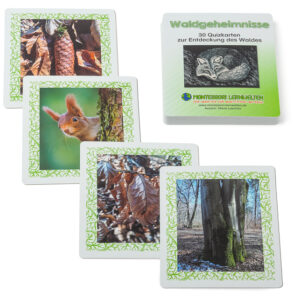 Waldgeheimnisse - 30 Quizkarten