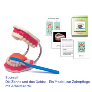 Die Zähne und das Gebiss - Lernwerkstatt zur Zahnpflege mit Lern- und Aufgabenmaterial