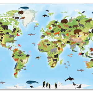 Sparset - Begehbare Weltkarte mit 8 Arbeitsfolien 180 x 110 cm