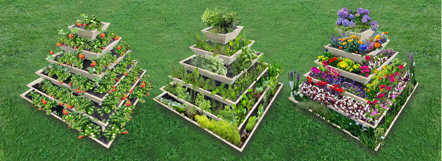 Große Pflanzpyramide aus Holz - ideal als Erdbeerpyramide, Kräuterpyramide oder Blumenpyramide 7 Große Pflanzpyramide aus Holz - ideal als Erdbeerpyramide, Kräuterpyramide oder Blumenpyramide – Bild 7