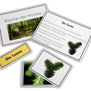 Legematerial - Bäume des Waldes