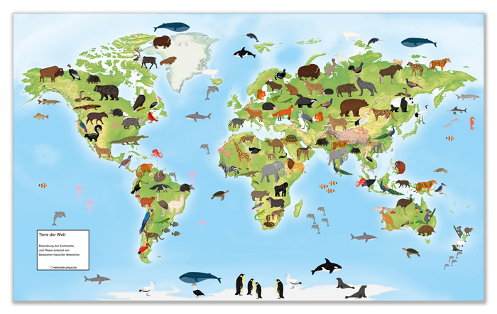 Sparset - Begehbare Weltkarte mit 8 Arbeitsfolien 180 x 110 cm 1 Sparset - Begehbare Weltkarte mit 8 Arbeitsfolien 180 x 110 cm