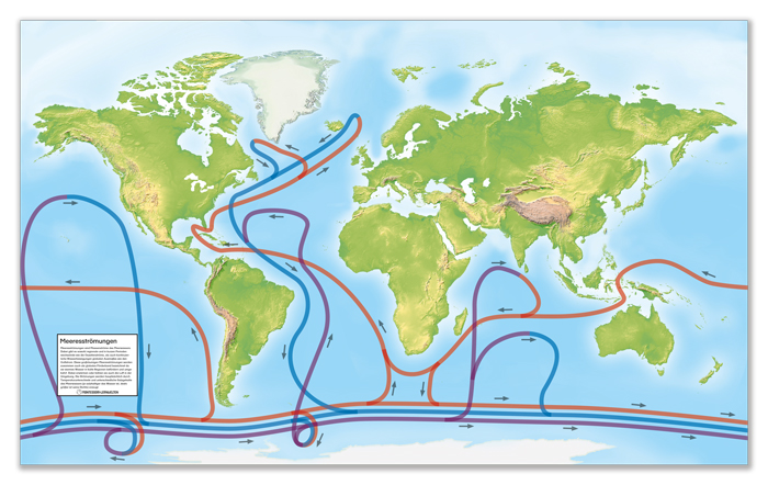 Sparset - Begehbare Weltkarte mit 8 Arbeitsfolien 180 x 110 cm 6 Sparset - Begehbare Weltkarte mit 8 Arbeitsfolien 180 x 110 cm – Bild 6