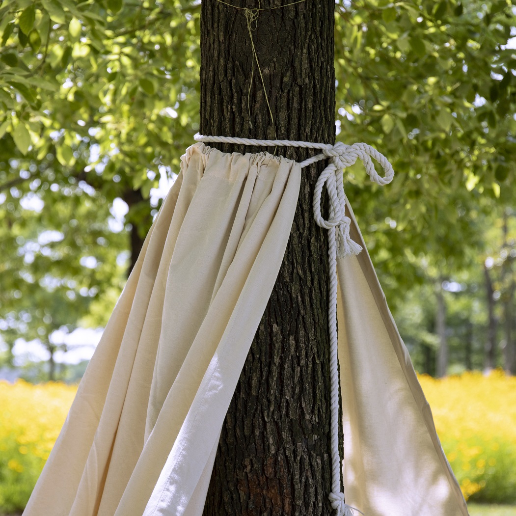Baum-Tipi - Gemütlichkeit und Abenteuer mitten in der Natur - vorbestellbar zum 30.06.2026 2 Baum-Tipi - Gemütlichkeit und Abenteuer mitten in der Natur - vorbestellbar zum 30.06.2026 – Bild 2