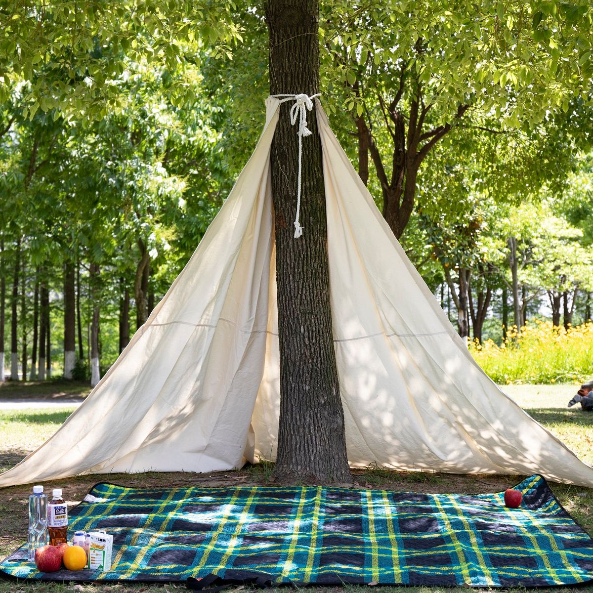 Baum-Tipi - Gemütlichkeit und Abenteuer mitten in der Natur - vorbestellbar zum 30.06.2026 3 Baum-Tipi - Gemütlichkeit und Abenteuer mitten in der Natur - vorbestellbar zum 30.06.2026 – Bild 3